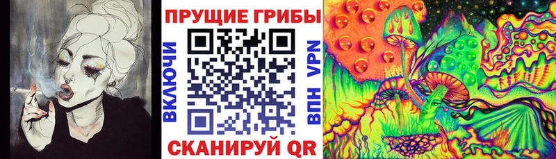 Галлюциногенные грибы Cubensis  Заполярный 