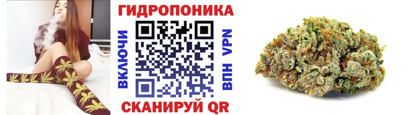 Бошки Шишки OG Kush наркотики ссылка на мегу ТОР Заполярный